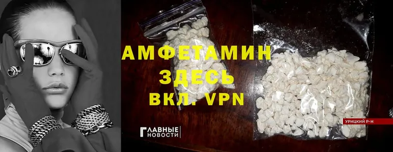 дарнет шоп  Бирюч  АМФ Premium 