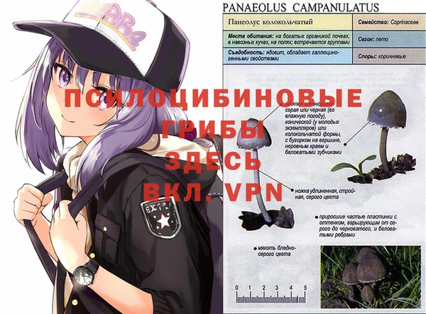 амф Остров
