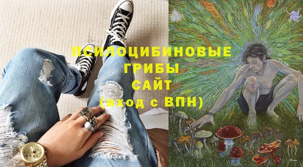 дурь Пестово