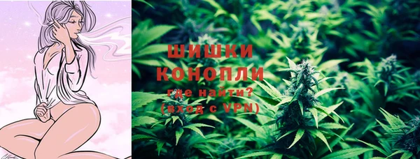 дурь Пестово