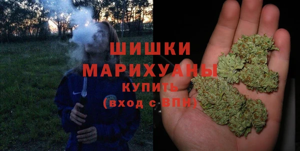 дурь Пестово