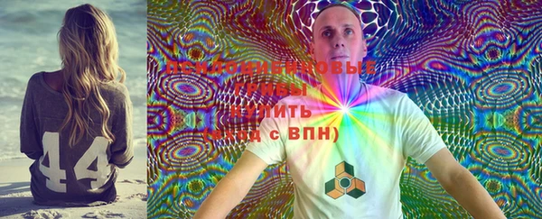 ECSTASY Осинники